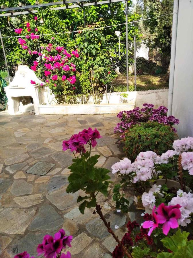 Villa Asteria House à Kala Nera Extérieur photo